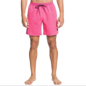 🔆Quicksilver Everyday Volley  “17 🔆